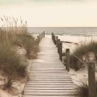 Lesen LED Bilder Bewertungen